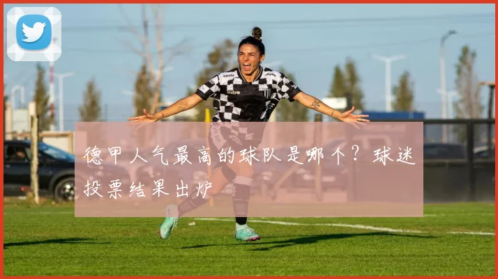 德甲人气最高的球队是哪个?球迷投票结果出炉