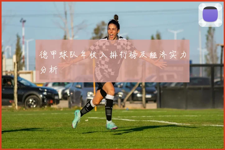 德甲球队年收入排行榜及经济实力分析
